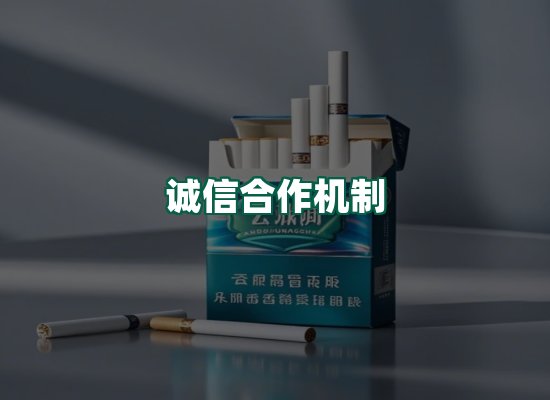 核心优势